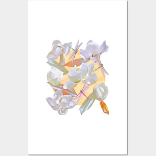 Magnolias and Dragonflies (Yellow Satin) Posters and Art